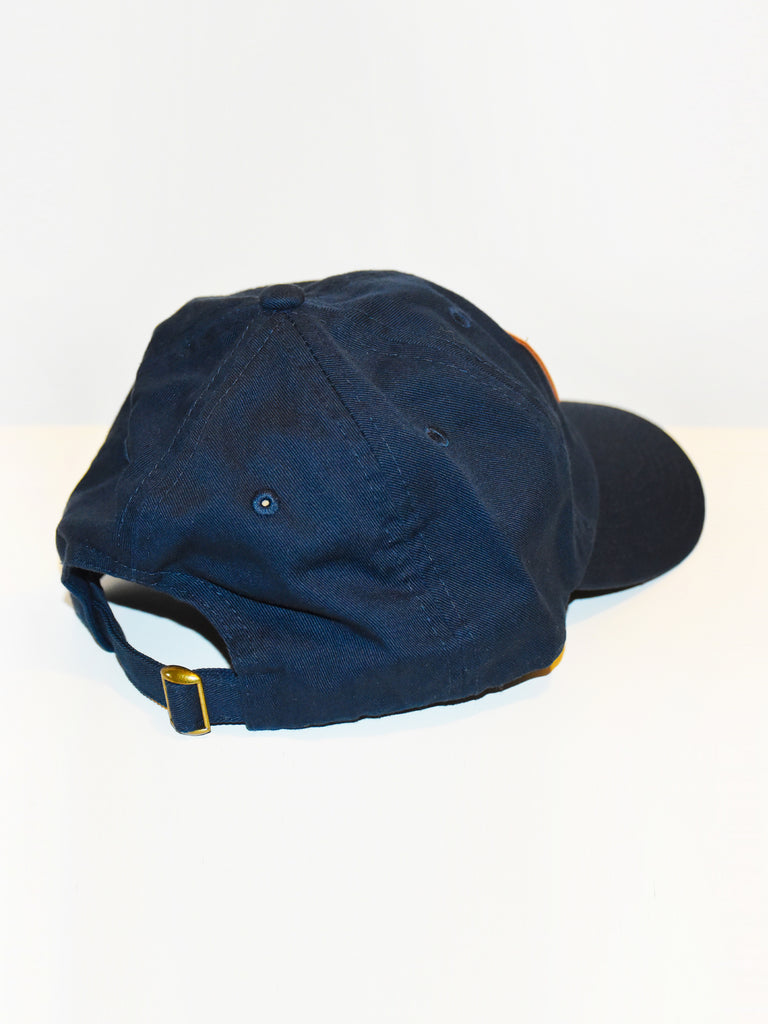 MOVE MORE WORRY LESS DAD HAT, NAVY