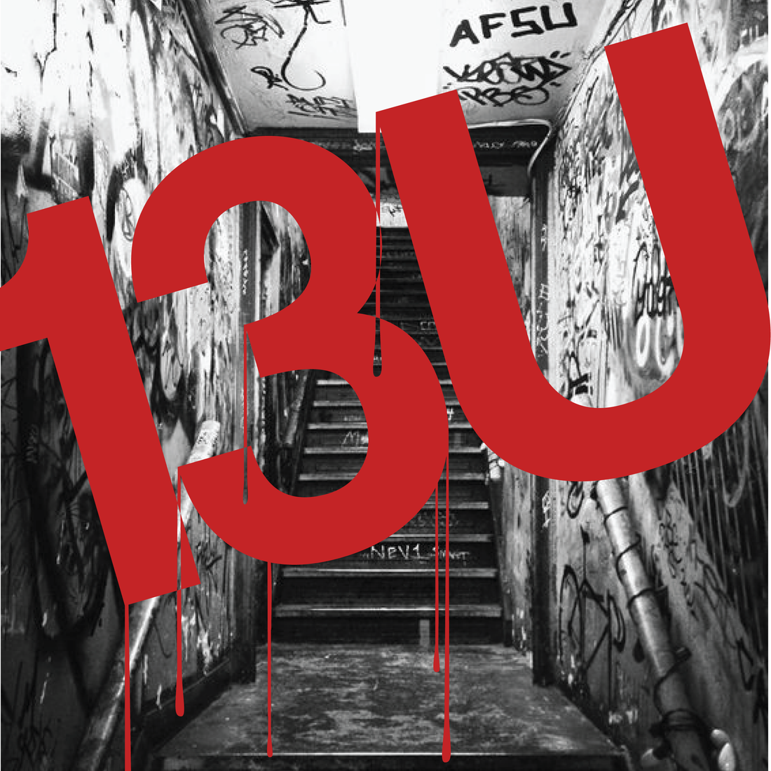 13U IDENTITY DEVELOPMENT